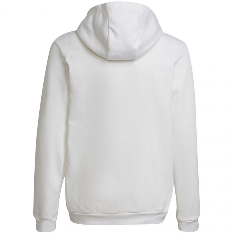 Adidas Entrada 22 Hoody Jr HG6303 sweatshirt