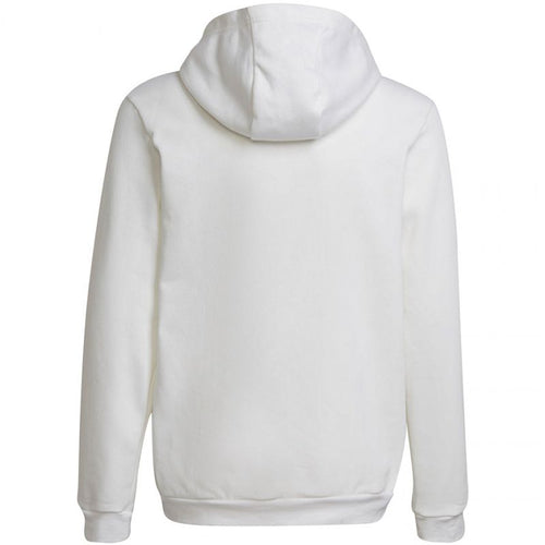 Adidas Entrada 22 Hoody Jr HG6303 sweatshirt