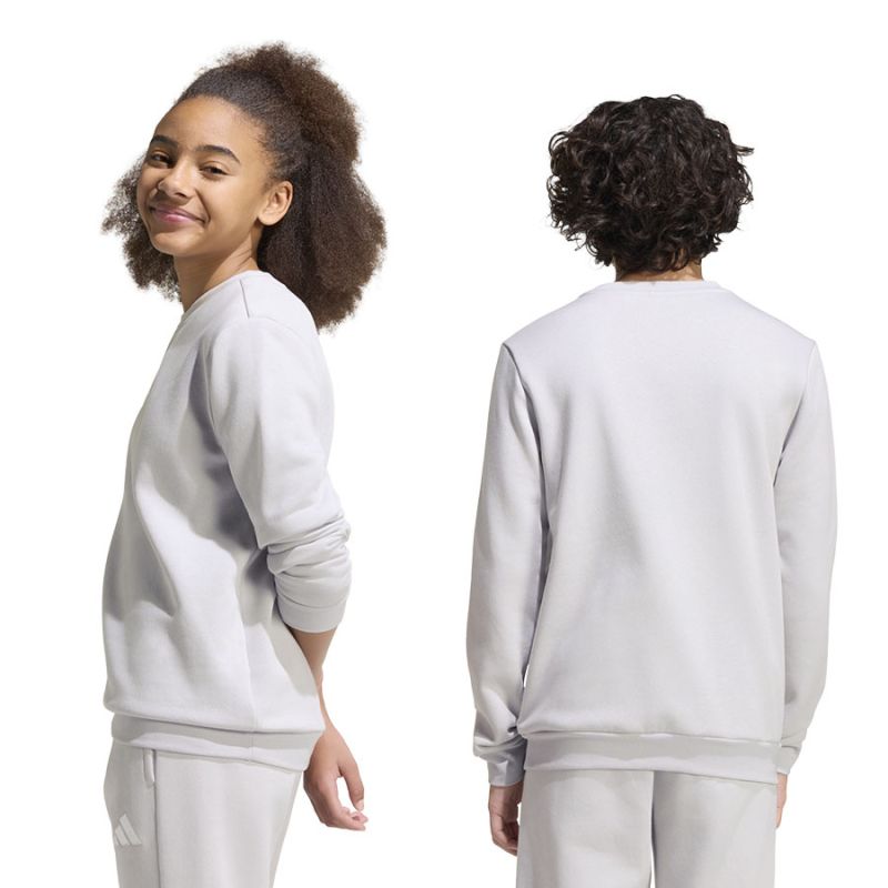 adidas Entrada 26 Sweat Top for kids gray JZ6551