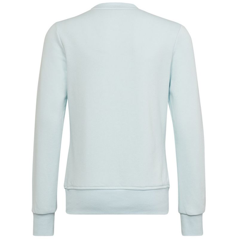 Adidas Big Logo Swt Jr HM8707 sweatshirt