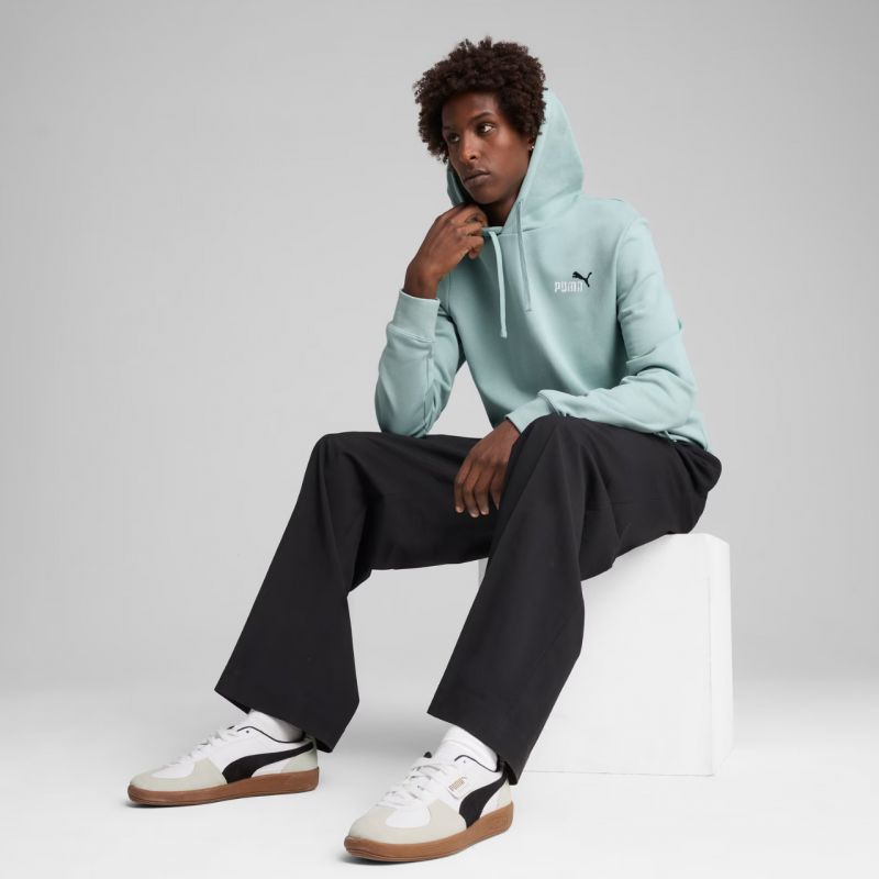 Puma Ess 2 Color Small No.1 Logo Hoodie TR M 684719 67