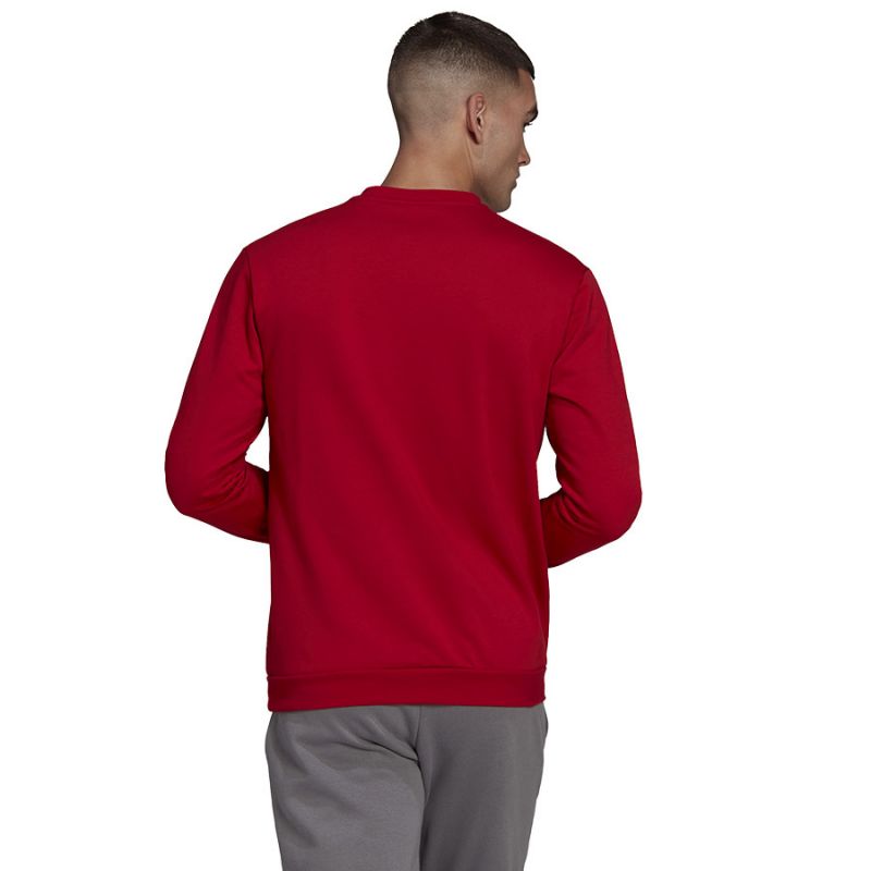 Adidas Entrada 22 Sweatshirt M HB0577