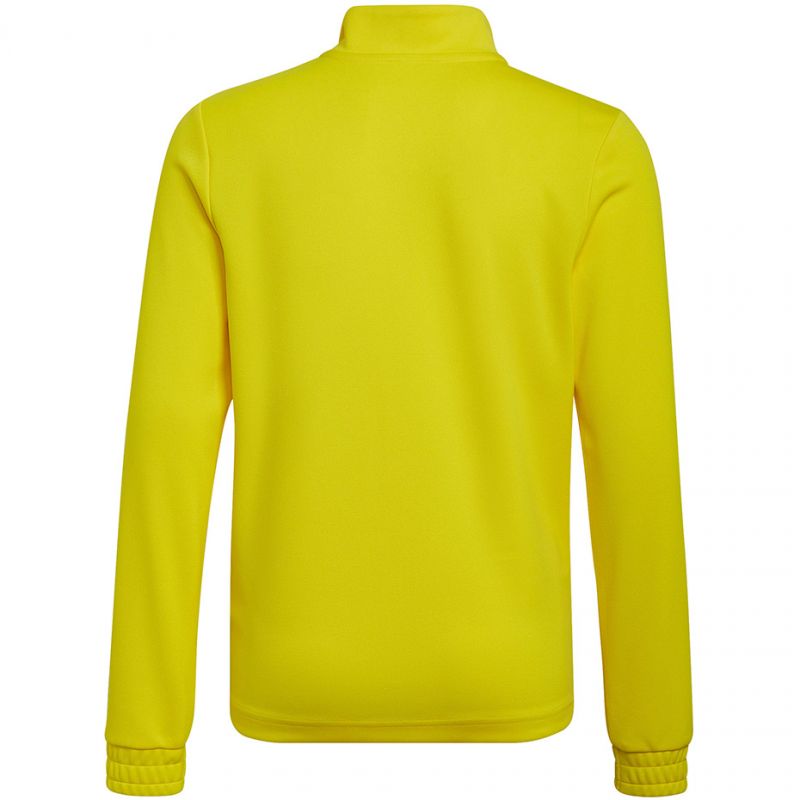Adidas Entrada 22 Training Top Jr HI2133 sweatshirt