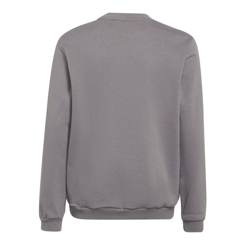 Adidas Entrada 22 Maglia Sweat Top Jr H57477