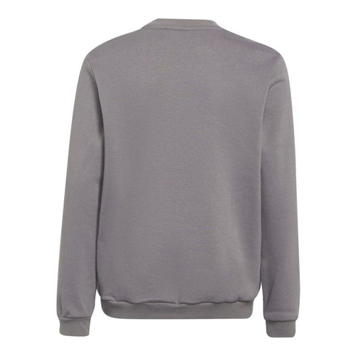 Adidas Entrada 22 Sweat Top Jr H57477