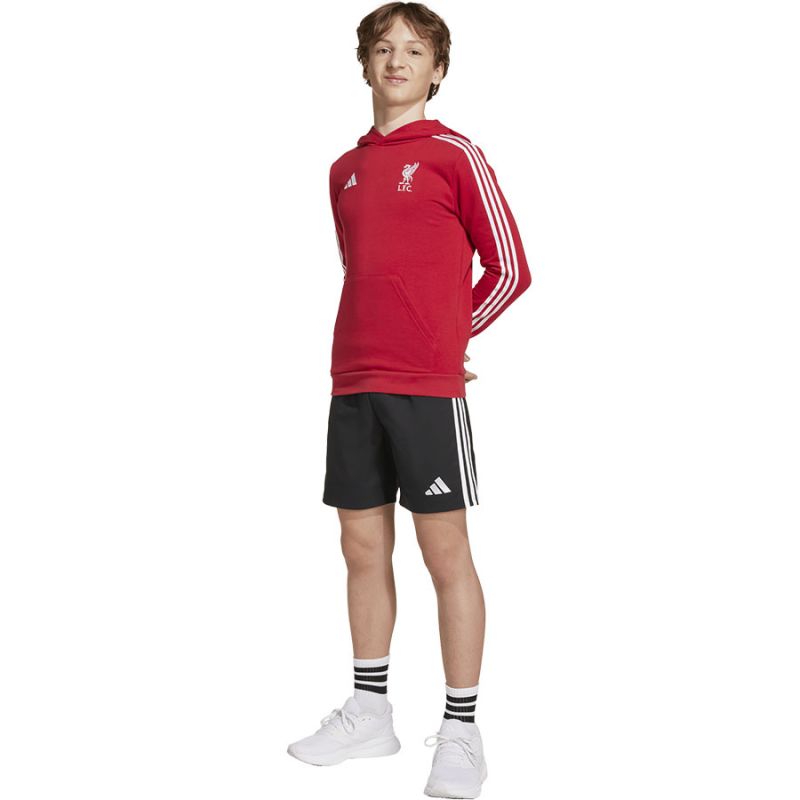 adidas Liverpool FC Hoody Kids HD sweatshirt JW7904