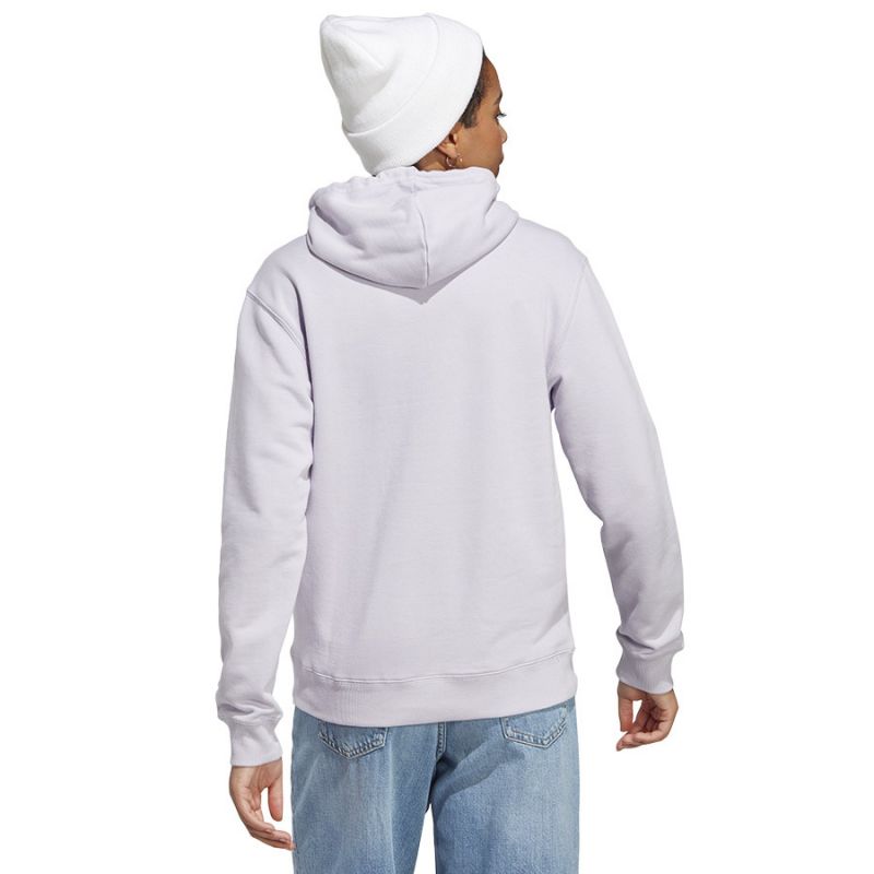 Adidas Big Logo FT R HD W IC6899 sweatshirt