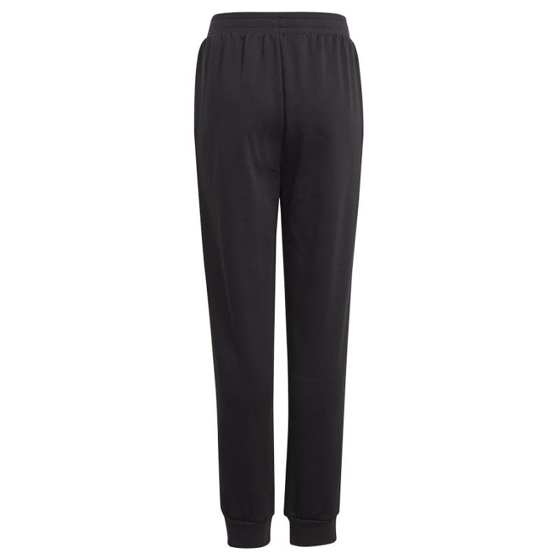 adidas BLUV Q3 Pant Jr IA1552
