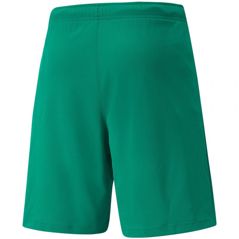 Puma teamRISE Shorts M 704942 05