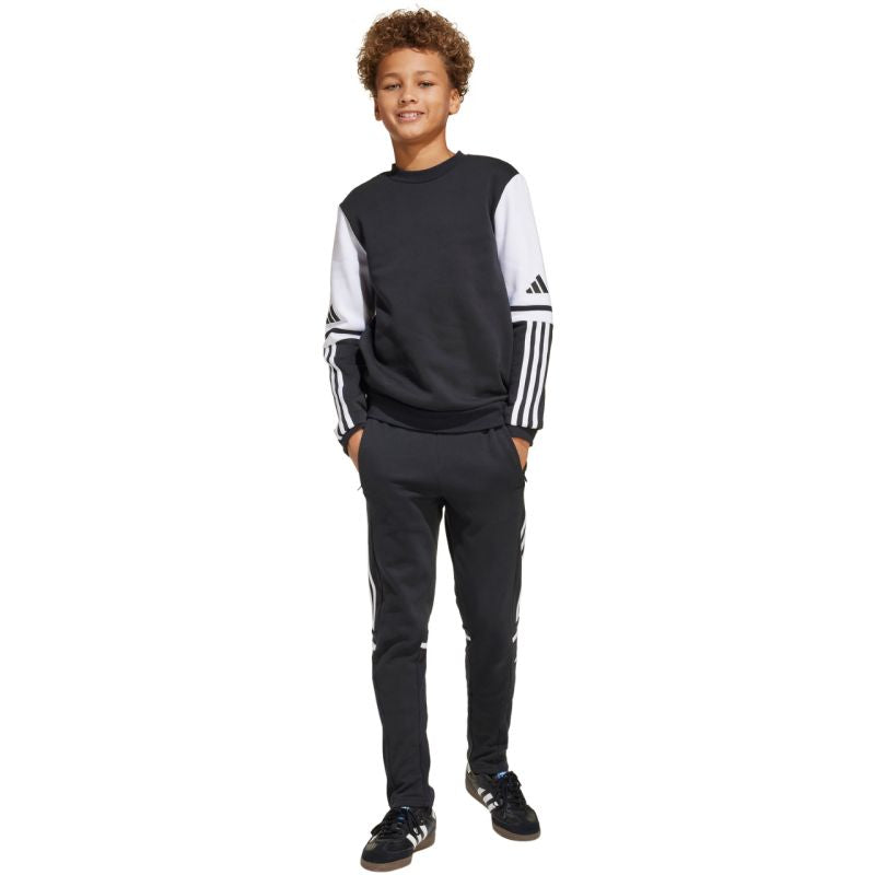 Adidas Squadra 25 Sweat Crew Jr JE2773 sweatshirt