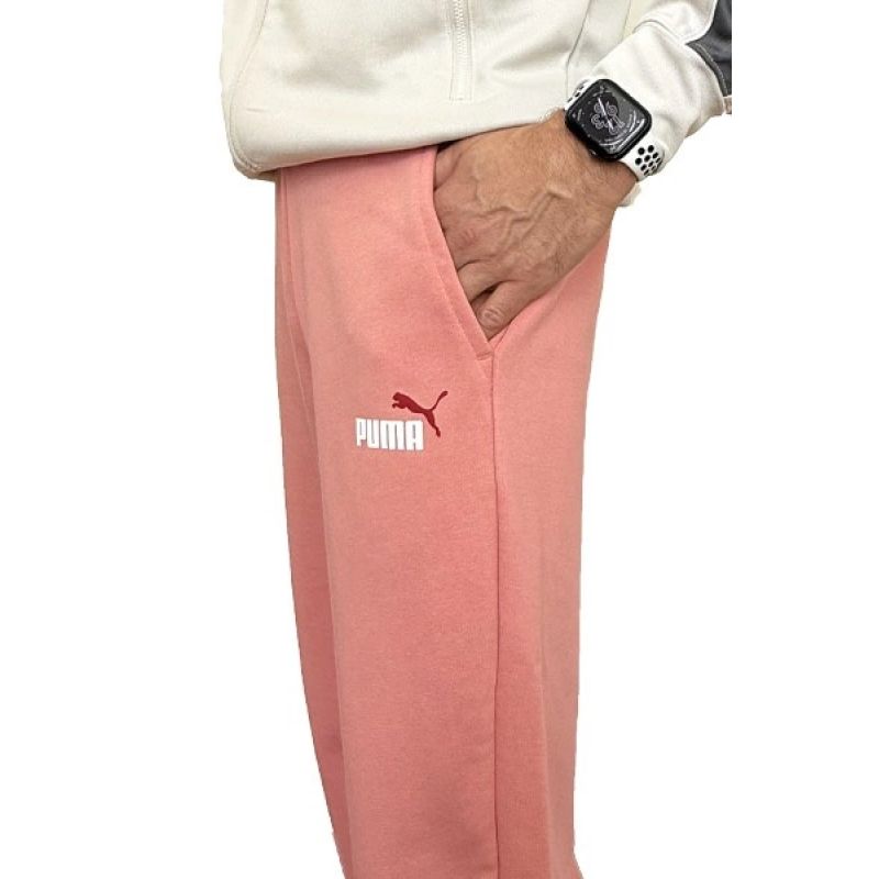 Puma Ess+ 2 Col Logo Pants M 586768 62