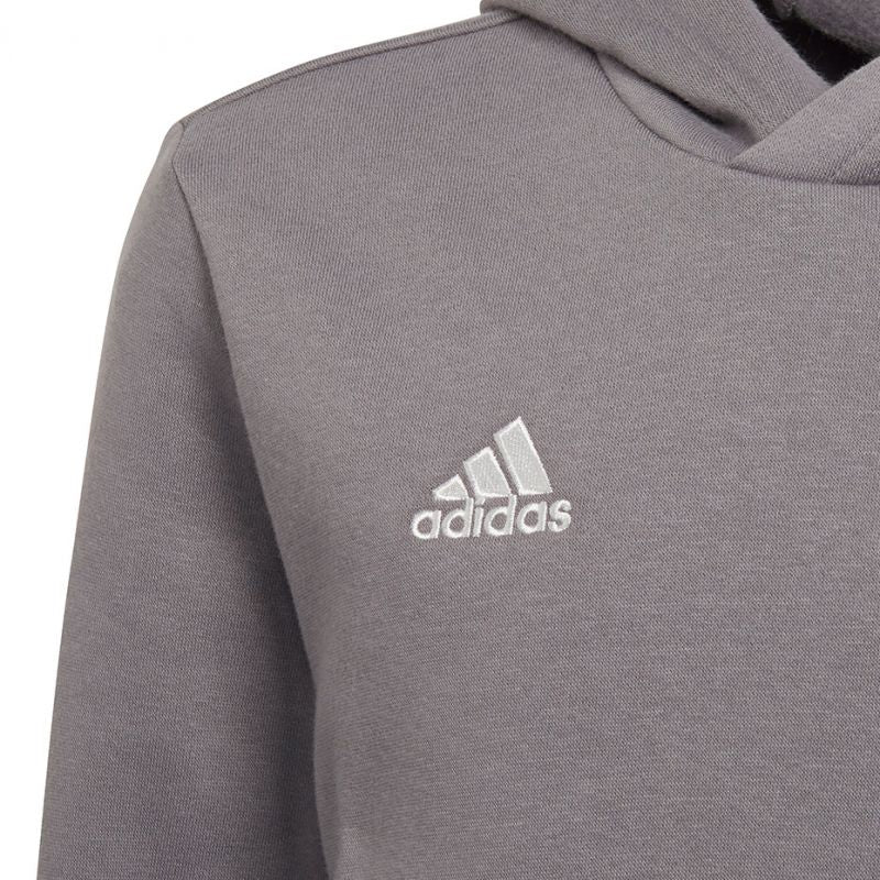 Adidas Entrada 22 Hoody Jr Felpa H57515