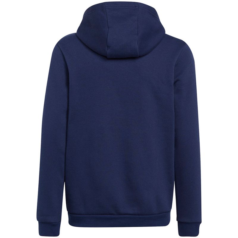 Adidas Entrada 22 Hoody Jr Sweatshirt H57517