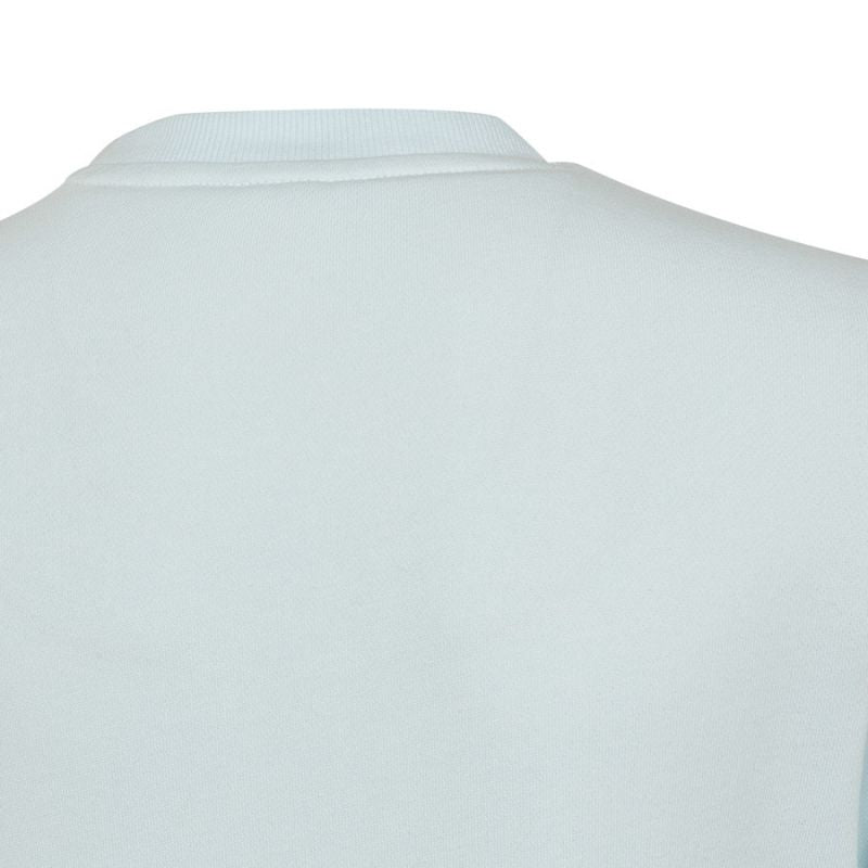 Adidas Big Logo Swt Jr HM8707 sweatshirt