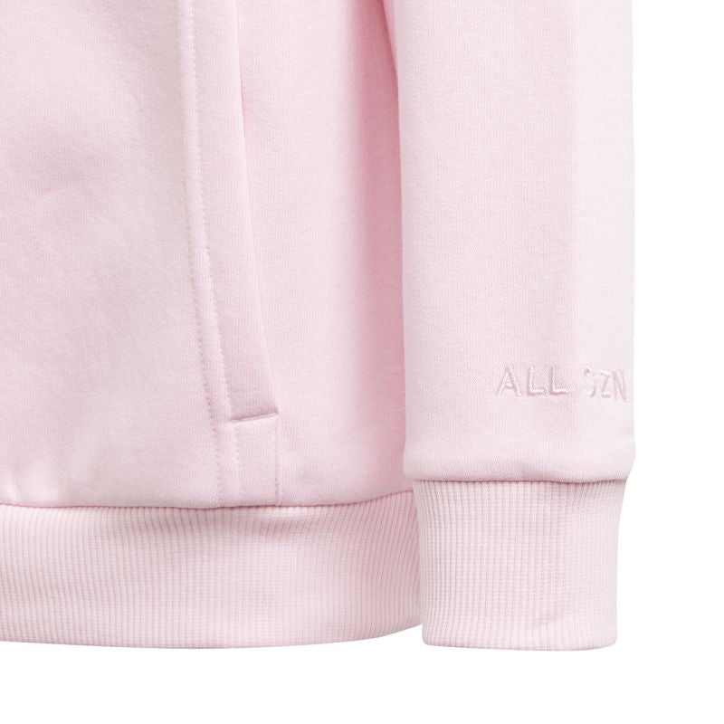 Felpa Adidas Allszn Gfx HD Jr IN2844