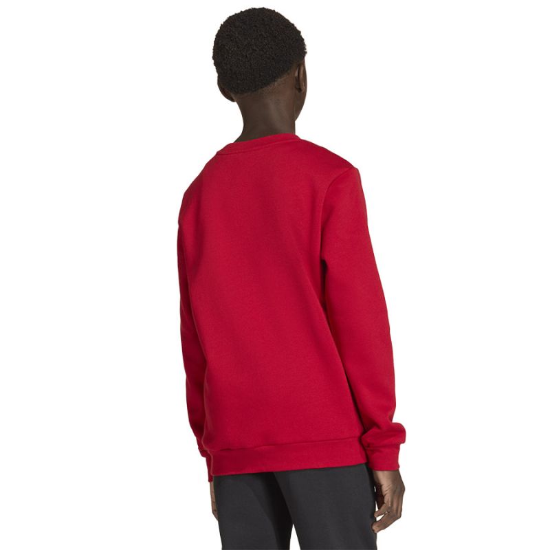 adidas Entrada 26 Maglia Sweat rossa JZ6556