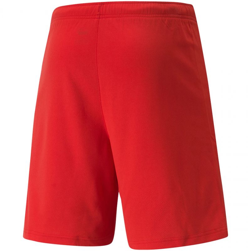 Puma teamRISE Shorts M 704942 01