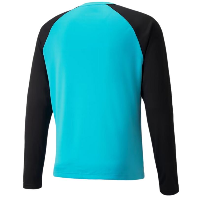 Puma teamPACER GK LS goalkeeper sweatshirt M 704933 40