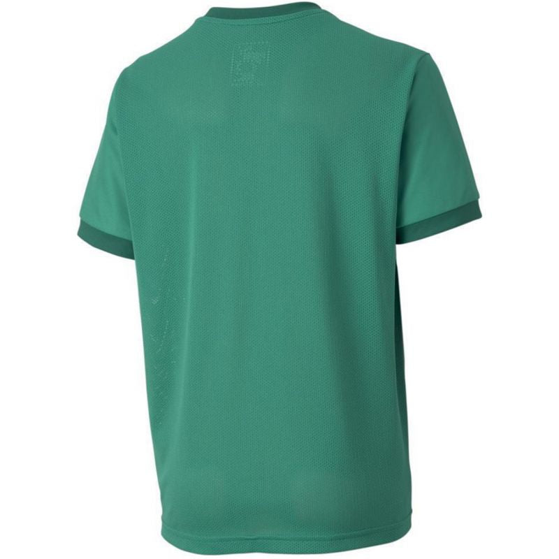 Puma teamGOAL 23 Maglia Jr 704160 05