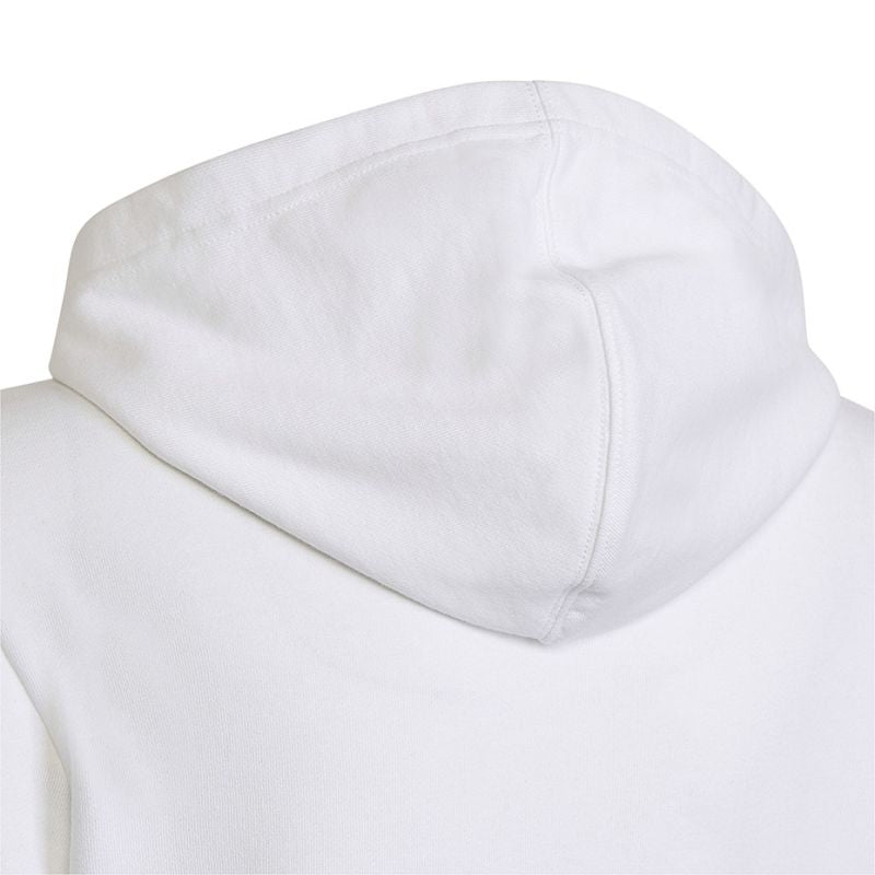 Adidas Colourblock Hoodie Jr HG6826 sweatshirt