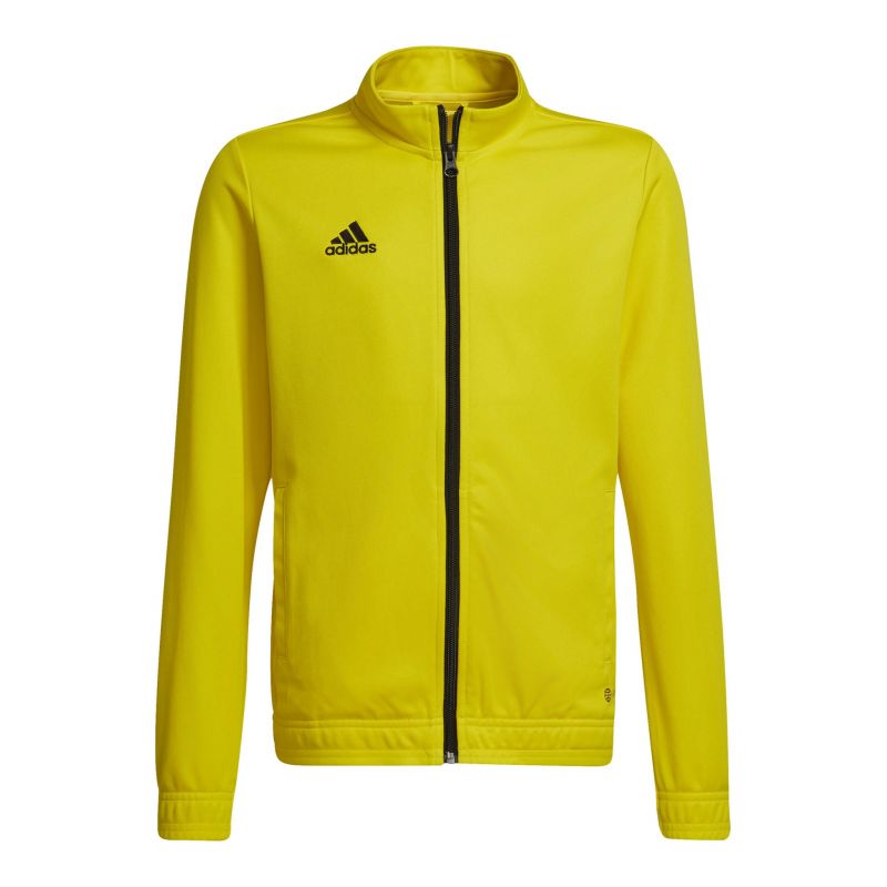 Adidas Entrada 22 Track Jr sweatshirt HI2139