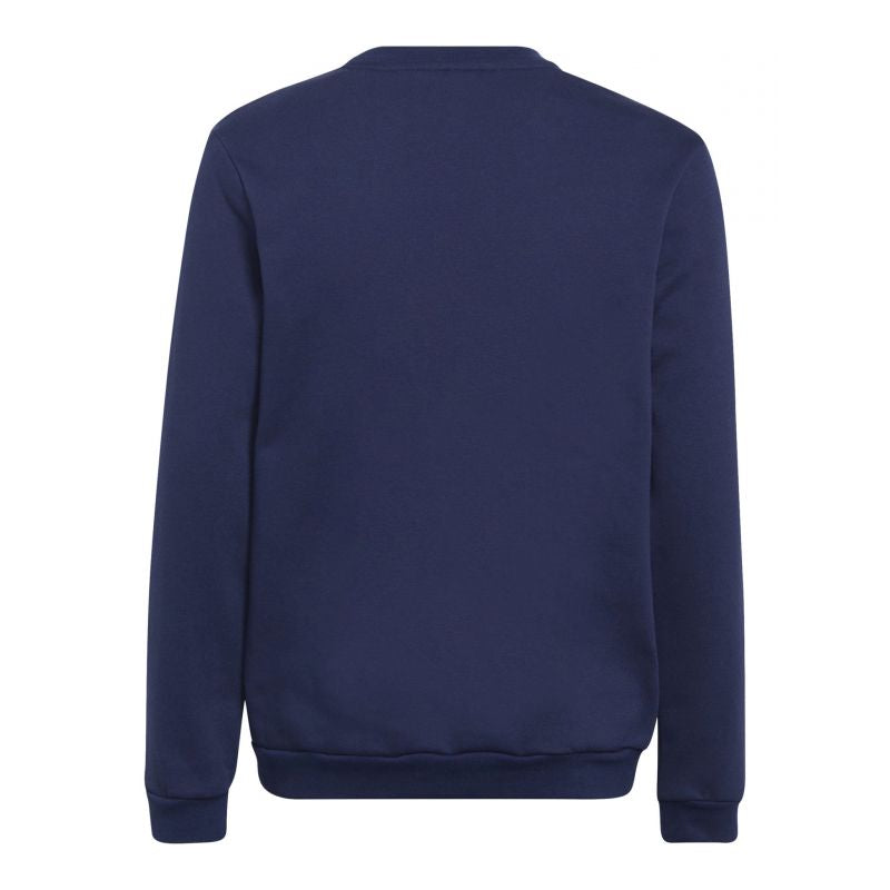 Adidas Felpa con cappuccio Entrada 22 Jr H57568