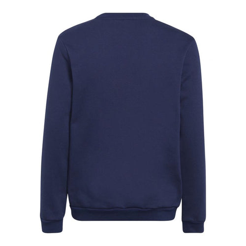 Adidas Entrada 22 Hoody Jr Sweatshirt H57568