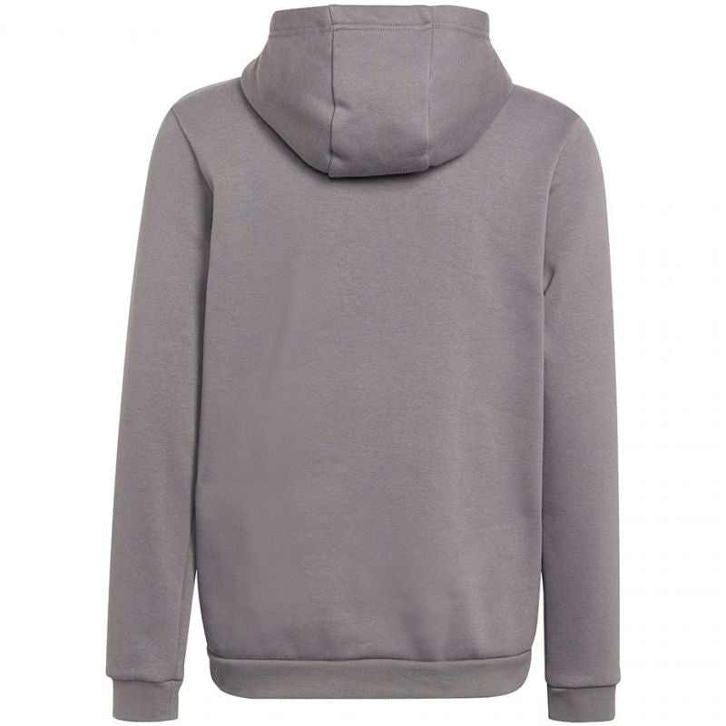 Adidas Entrada 22 Hoody Jr Felpa H57515