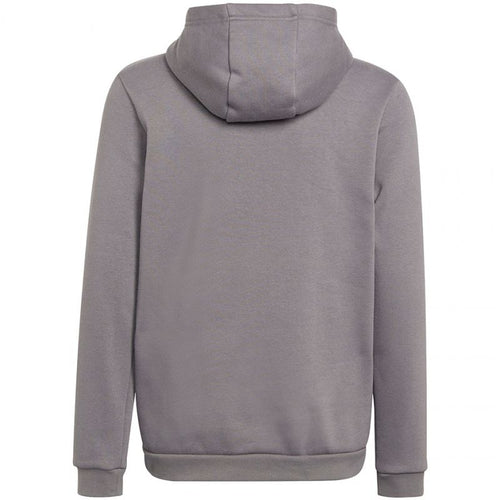 Adidas Entrada 22 Hoody Jr Sweatshirt H57515