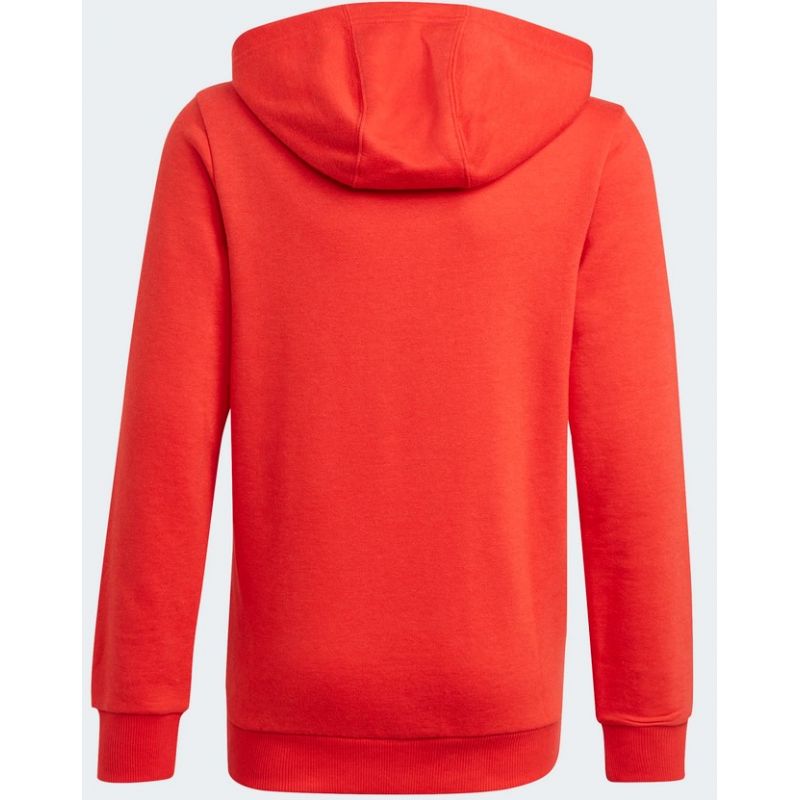 Adidas Essentials Big Logo Hoodie Jr GN4037 sweatshirt