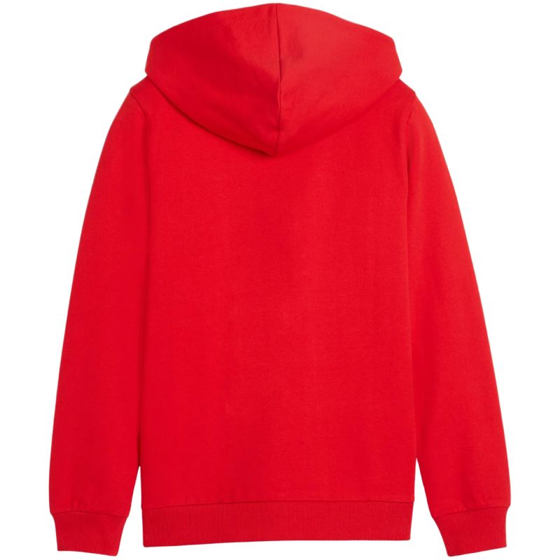 Puma teamGoal Casuals Hooded kids' sweatshirt red 658596 01