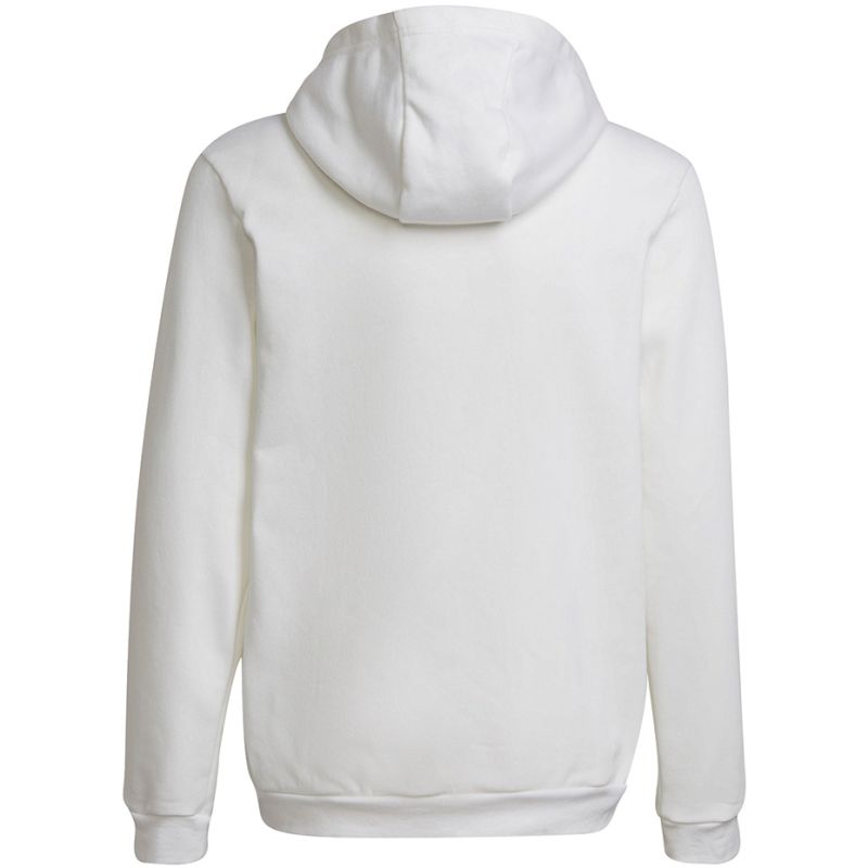 Adidas Entrada 22 Hoody Jr HG6303 sweatshirt