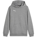 Puma Team Goal Casuals Felpa con Cappuccio Jr 658619 33