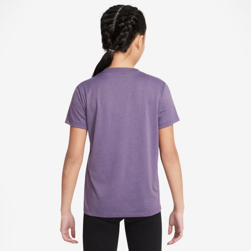 Nike Dri-Fit Jr T-shirt DV0559 553