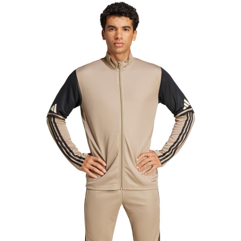 Adidas Squadra 25 Training M JP3391 sweatshirt