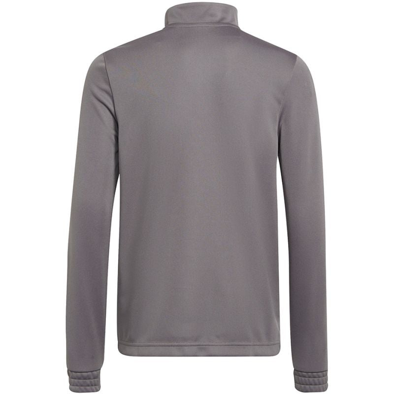 Adidas Entrada 22 Training Top Jr H57549 sweatshirt