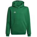 Felpa Adidas Entrada 22 Hoody Y Jr HI2143