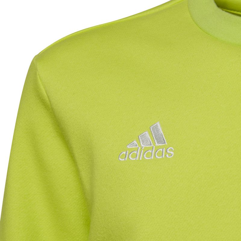 Adidas Entrada 22 Sweat Top Jr HC5043 sweatshirt