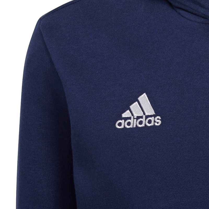 Adidas Entrada 22 Hoody Jr Sweatshirt H57517