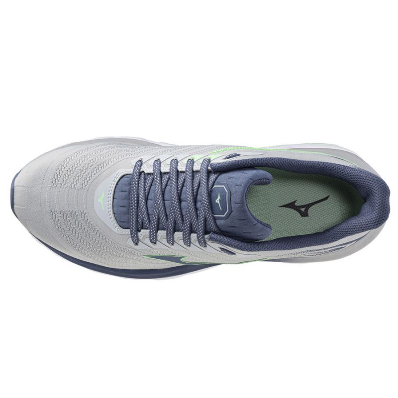 Mizuno Wave Horizon 8 M J1GC252601 shoes