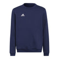 Adidas Felpa con cappuccio Entrada 22 Jr H57568