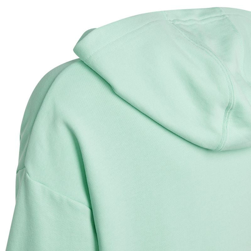 Adidas D Hoody Jr HR5825 sweatshirt
