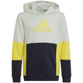 Felpa con cappuccio a blocchi di colore Adidas Jr HN8567