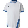 Puma teamGOAL 23 Jersey Jr 704160 12