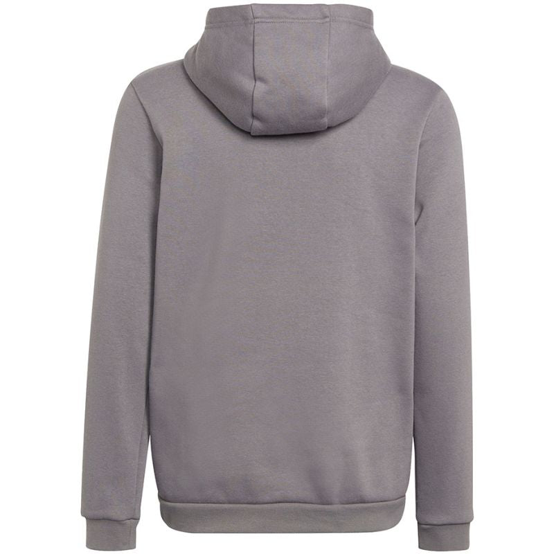 Adidas Entrada 22 Hoody Jr Felpa H57515