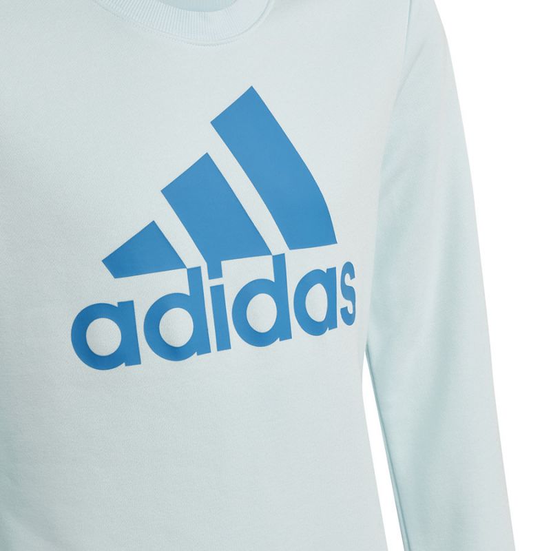 Adidas Big Logo Swt Jr HM8707 sweatshirt