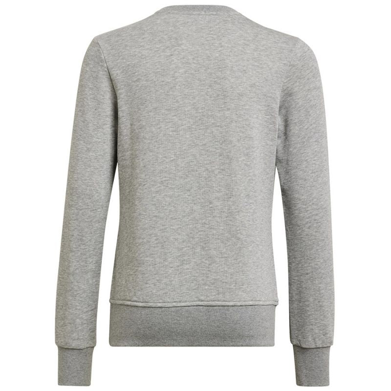 Adidas Big Logo Swt Jr HM8706 sweatshirt
