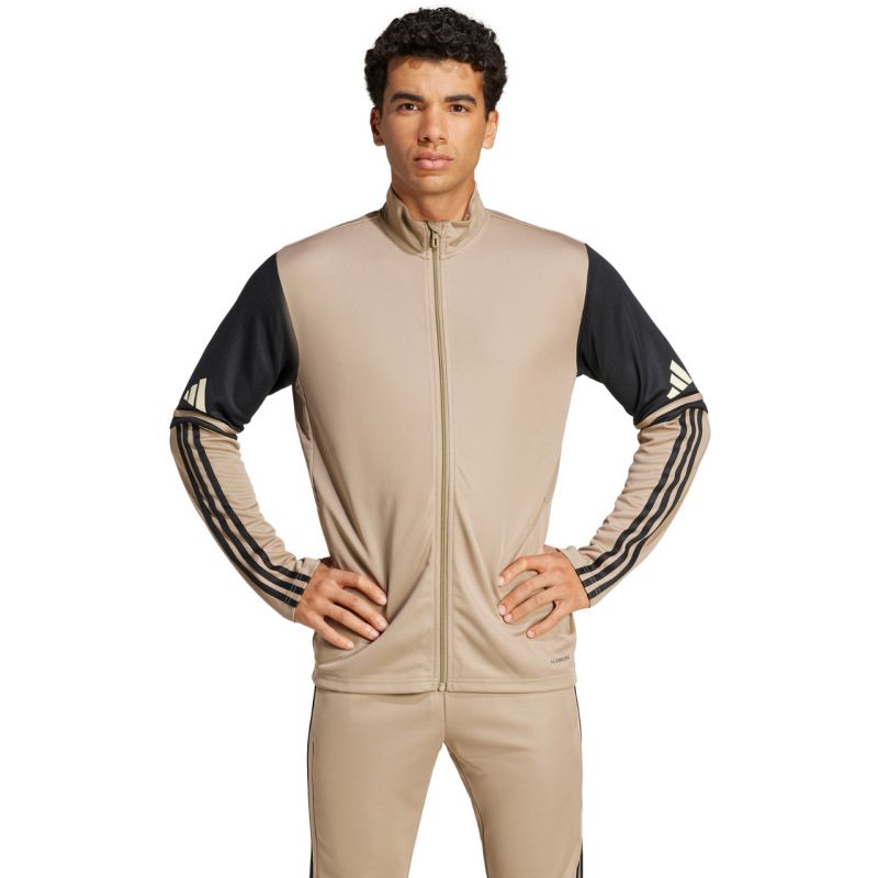 Adidas Squadra 25 Training M JP3391 sweatshirt