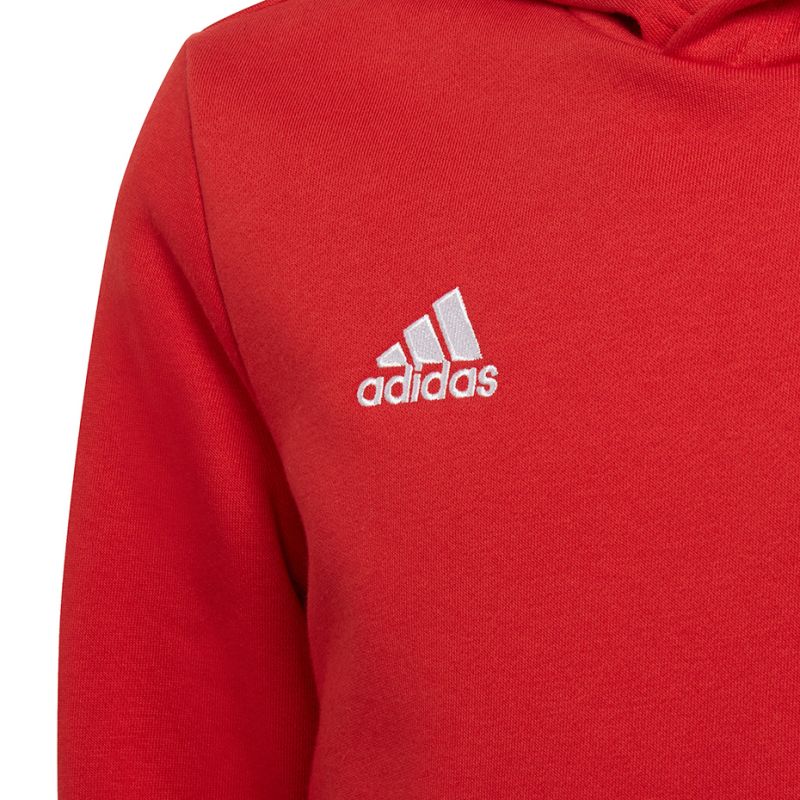 Adidas Entrada 22 Hoody Jr sweatshirt H57566