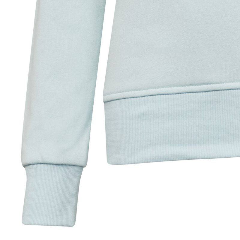Adidas Big Logo Swt Jr HM8707 sweatshirt
